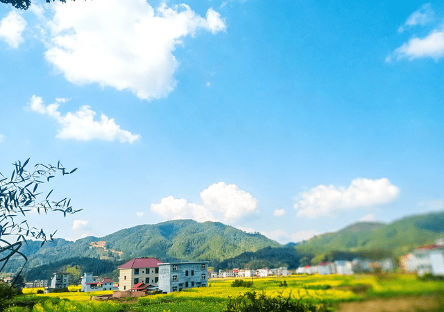 江西永新:春风染沃野 乡村入画来